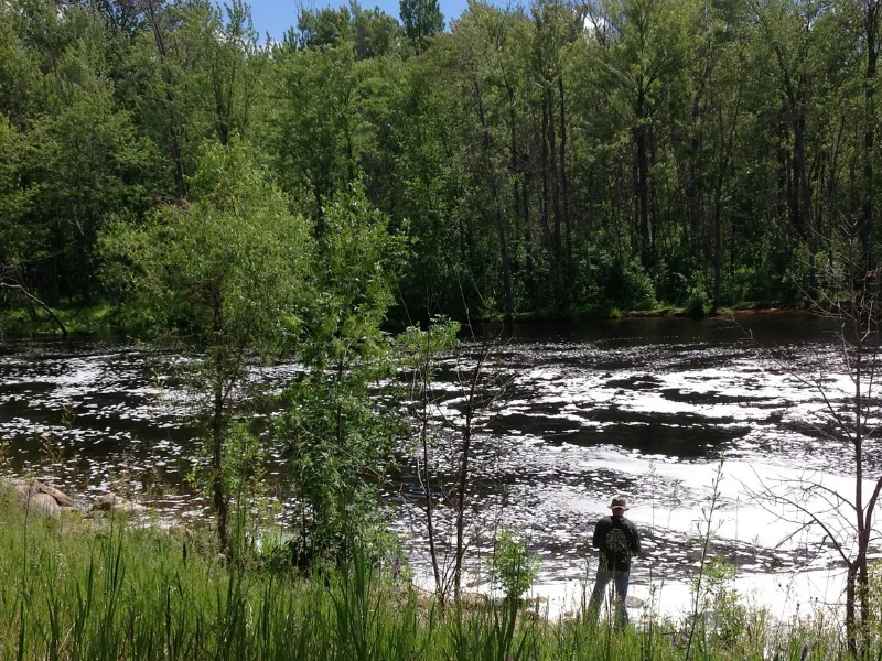 Stream Fishing in Spring